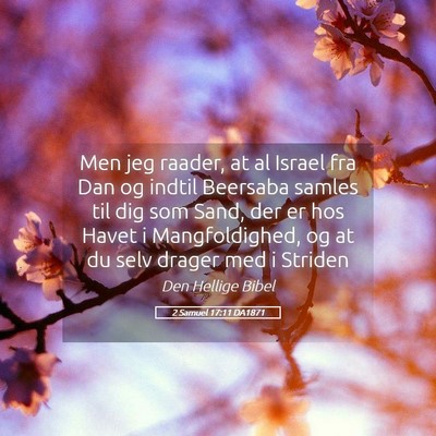 Picture 05 - 2 Samuel 17:11 DA1871 - Men jeg raader, at al Israel fra Dan og indtil - Bible Verse Picture