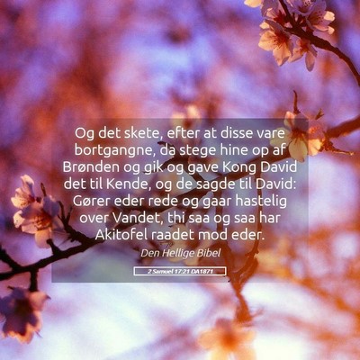 Picture 05 - 2 Samuel 17:21 DA1871 - Og det skete, efter at disse vare bortgangne, da - Bible Verse Picture