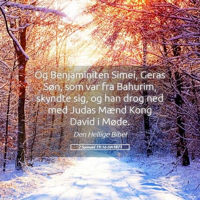 Picture 05 - 2 Samuel 19:16 DA1871 - Og Benjaminiten Simei, Geras Søn, som var fra - Bible Verse Picture