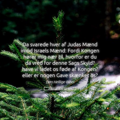 Picture 05 - 2 Samuel 19:42 DA1871 - Da svarede hver af Judas Mænd imod Israels - Bible Verse Picture