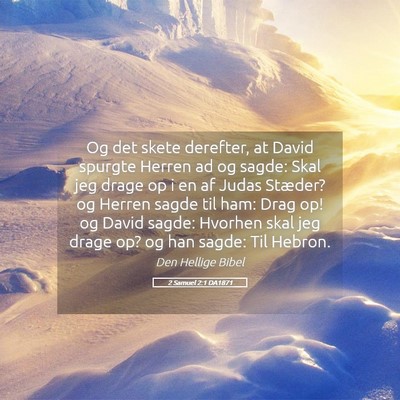Picture 05 - 2 Samuel 2:1 DA1871 - Og det skete derefter, at David spurgte Herren ad - Bible Verse Picture