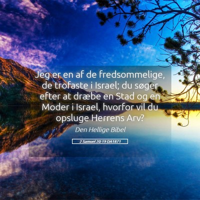 Picture 05 - 2 Samuel 20:19 DA1871 - Jeg er en af de fredsommelige, de trofaste i - Bible Verse Picture