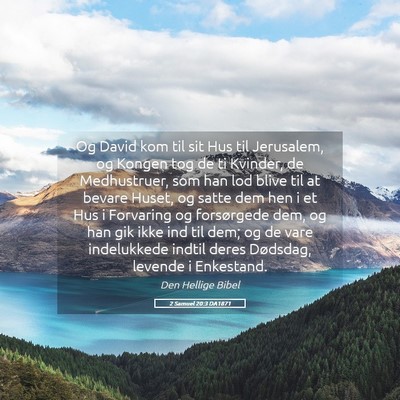 Picture 05 - 2 Samuel 20:3 DA1871 - Og David kom til sit Hus til Jerusalem, og Kongen - Bible Verse Picture