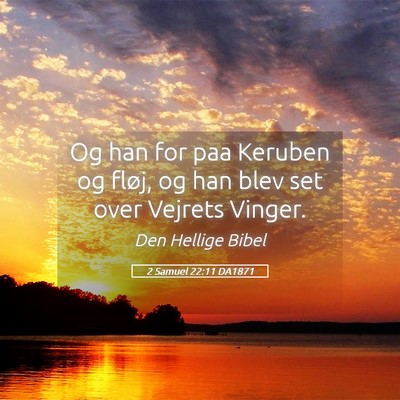 Picture 05 - 2 Samuel 22:11 DA1871 - Og han for paa Keruben og fløj, og han blev set - Bible Verse Picture