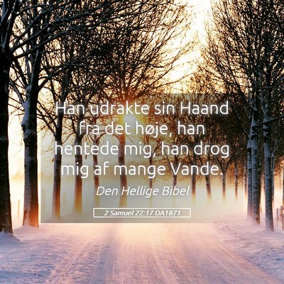 Picture 05 - 2 Samuel 22:17 DA1871 - Han udrakte sin Haand fra det høje, han hentede - Bible Verse Picture