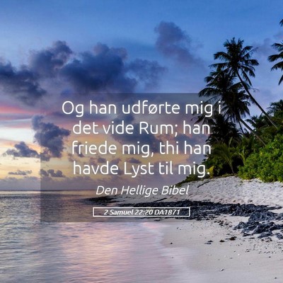 Picture 05 - 2 Samuel 22:20 DA1871 - Og han udførte mig i det vide Rum; han friede - Bible Verse Picture