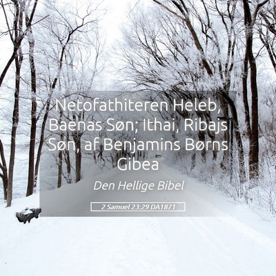 Picture 05 - 2 Samuel 23:29 DA1871 - Netofathiteren Heleb, Baenas Søn; Ithai, Ribajs - Bible Verse Picture