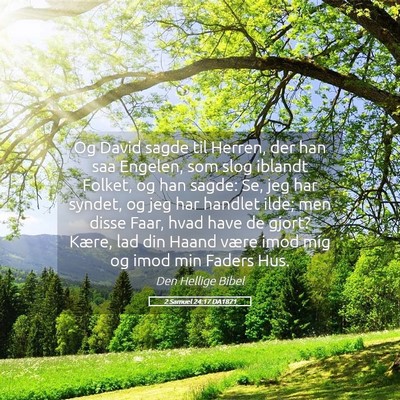 Picture 05 - 2 Samuel 24:17 DA1871 - Og David sagde til Herren, der han saa Engelen, - Bible Verse Picture