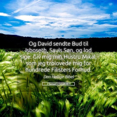 Picture 05 - 2 Samuel 3:14 DA1871 - Og David sendte Bud til Isboseth, Sauls Søn, og - Bible Verse Picture