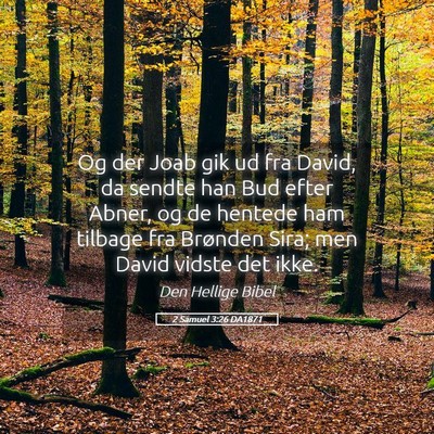 Picture 05 - 2 Samuel 3:26 DA1871 - Og der Joab gik ud fra David, da sendte han Bud - Bible Verse Picture