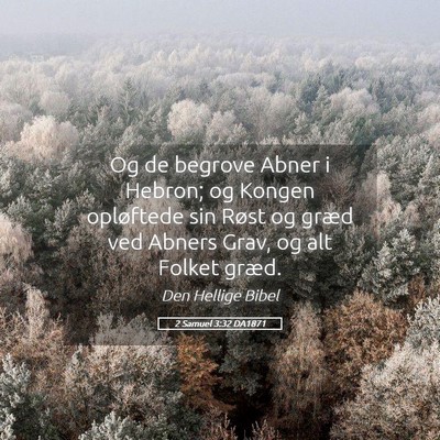 Picture 05 - 2 Samuel 3:32 DA1871 - Og de begrove Abner i Hebron; og Kongen - Bible Verse Picture