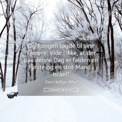 Picture 05 - 2 Samuel 3:38 DA1871 - Og Kongen sagde til sine Tjenere: Vide I ikke, at - Bible Verse Picture