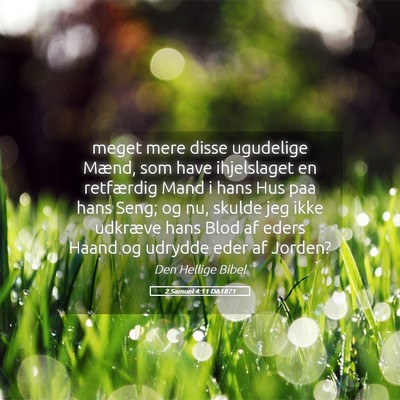 Picture 05 - 2 Samuel 4:11 DA1871 - meget mere disse ugudelige Mænd, som have - Bible Verse Picture