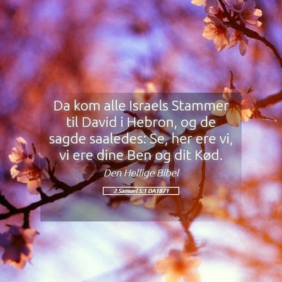 Picture 05 - 2 Samuel 5:1 DA1871 - Da kom alle Israels Stammer til David i Hebron, - Bible Verse Picture