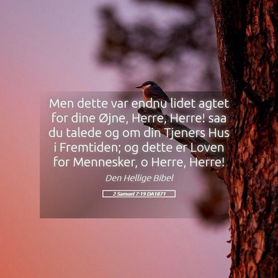 Picture 05 - 2 Samuel 7:19 DA1871 - Men dette var endnu lidet agtet for dine Øjne, - Bible Verse Picture