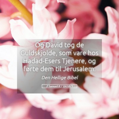 Picture 05 - 2 Samuel 8:7 DA1871 - Og David tog de Guldskjolde, som vare hos - Bible Verse Picture