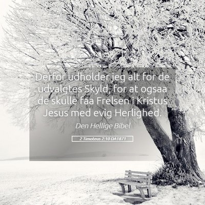 Picture 05 - 2 Timoteus 2:10 DA1871 - Derfor udholder jeg alt for de udvalgtes Skyld, - Bible Verse Picture