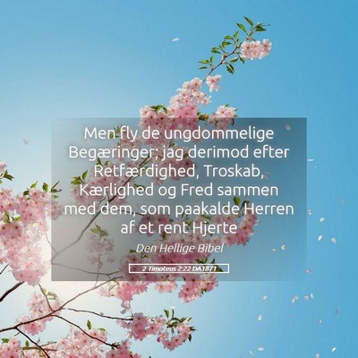 Picture 05 - 2 Timoteus 2:22 DA1871 - Men fly de ungdommelige Begæringer; jag derimod - Bible Verse Picture