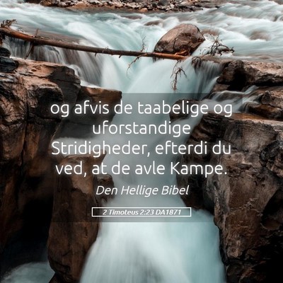 Picture 05 - 2 Timoteus 2:23 DA1871 - og afvis de taabelige og uforstandige - Bible Verse Picture