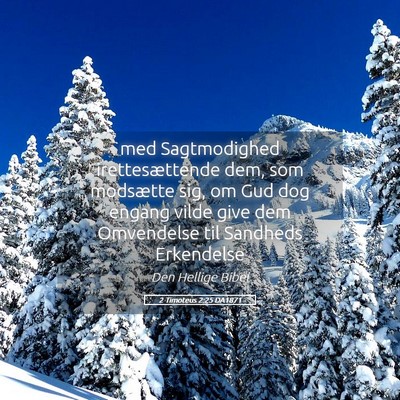 Picture 05 - 2 Timoteus 2:25 DA1871 - med Sagtmodighed irettesættende dem, som - Bible Verse Picture
