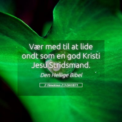 Picture 05 - 2 Timoteus 2:3 DA1871 - Vær med til at lide ondt som en god Kristi Jesu - Bible Verse Picture