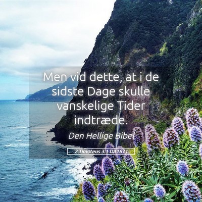 Picture 05 - 2 Timoteus 3:1 DA1871 - Men vid dette, at i de sidste Dage skulle - Bible Verse Picture