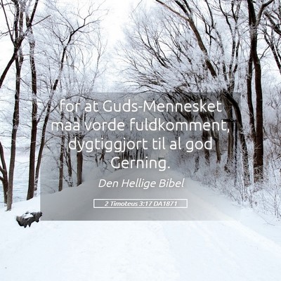 Picture 05 - 2 Timoteus 3:17 DA1871 - for at Guds-Mennesket maa vorde fuldkomment, - Bible Verse Picture