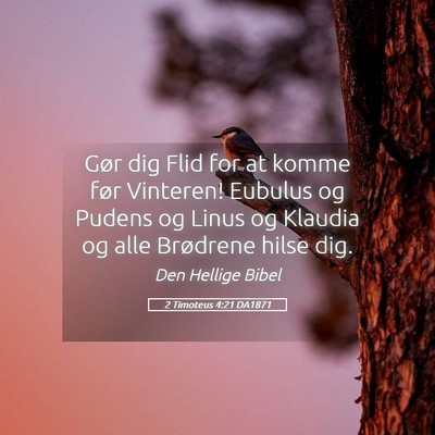 Picture 05 - 2 Timoteus 4:21 DA1871 - Gør dig Flid for at komme før Vinteren! Eubulus - Bible Verse Picture