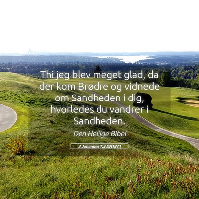 Picture 05 - 3 Johannes 1:3 DA1871 - Thi jeg blev meget glad, da der kom Brødre og - Bible Verse Picture