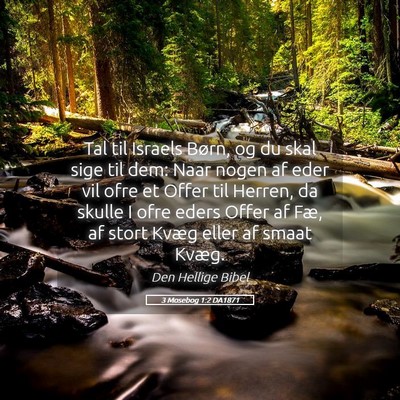 Picture 05 - 3 Mosebog 1:2 DA1871 - Tal til Israels Børn, og du skal sige til dem: - Bible Verse Picture