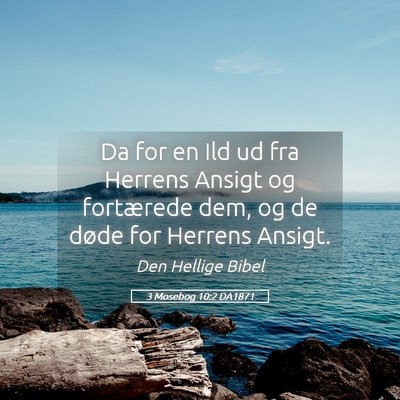 Picture 05 - 3 Mosebog 10:2 DA1871 - Da for en Ild ud fra Herrens Ansigt og fortærede - Bible Verse Picture