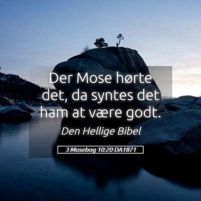 Picture 05 - 3 Mosebog 10:20 DA1871 - Der Mose hørte det, da syntes det ham at være - Bible Verse Picture