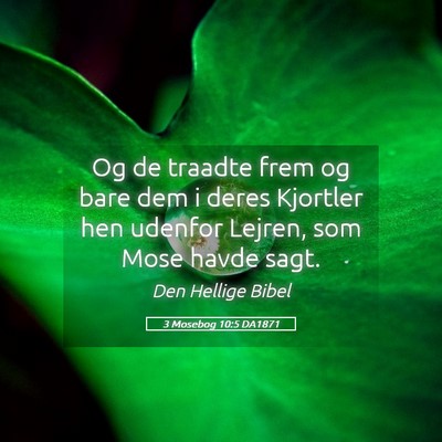 Picture 05 - 3 Mosebog 10:5 DA1871 - Og de traadte frem og bare dem i deres Kjortler - Bible Verse Picture