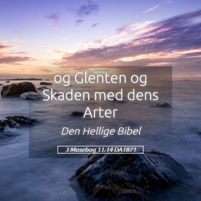 Picture 05 - 3 Mosebog 11:14 DA1871 - og Glenten og Skaden med dens - Bible Verse Picture