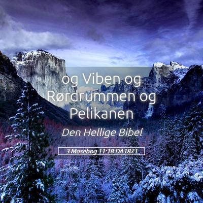 Picture 05 - 3 Mosebog 11:18 DA1871 - og Viben og Rørdrummen og - Bible Verse Picture