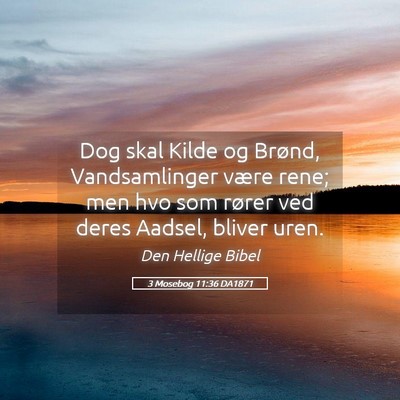 Picture 05 - 3 Mosebog 11:36 DA1871 - Dog skal Kilde og Brønd, Vandsamlinger være - Bible Verse Picture