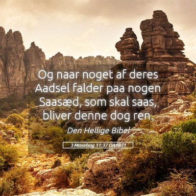 Picture 05 - 3 Mosebog 11:37 DA1871 - Og naar noget af deres Aadsel falder paa nogen - Bible Verse Picture