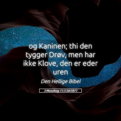 Picture 05 - 3 Mosebog 11:5 DA1871 - og Kaninen; thi den tygger Drøv, men har ikke - Bible Verse Picture