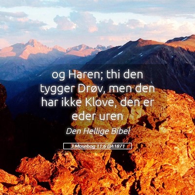 Picture 05 - 3 Mosebog 11:6 DA1871 - og Haren; thi den tygger Drøv, men den har ikke - Bible Verse Picture