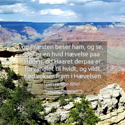Picture 05 - 3 Mosebog 13:10 DA1871 - og Præsten beser ham, og se, der er en hvid - Bible Verse Picture