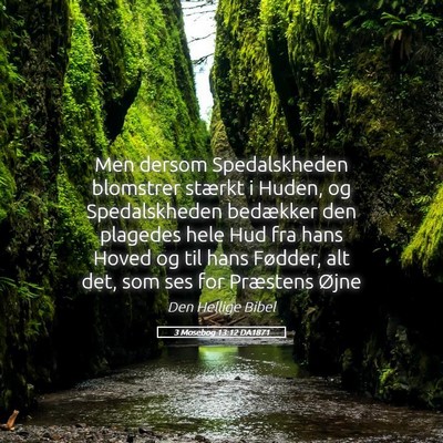 Picture 05 - 3 Mosebog 13:12 DA1871 - Men dersom Spedalskheden blomstrer stærkt i - Bible Verse Picture