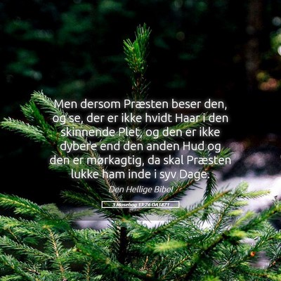Picture 05 - 3 Mosebog 13:26 DA1871 - Men dersom Præsten beser den, og se, der er ikke - Bible Verse Picture