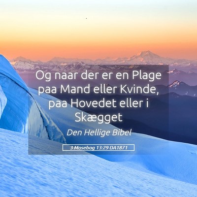 Picture 05 - 3 Mosebog 13:29 DA1871 - Og naar der er en Plage paa Mand eller Kvinde, - Bible Verse Picture