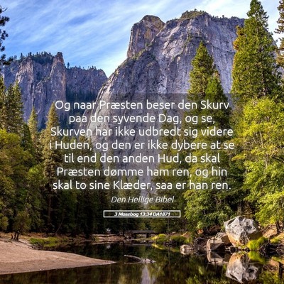 Picture 05 - 3 Mosebog 13:34 DA1871 - Og naar Præsten beser den Skurv paa den syvende - Bible Verse Picture