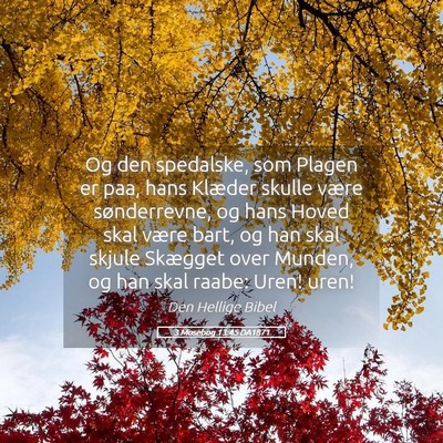 Picture 05 - 3 Mosebog 13:45 DA1871 - Og den spedalske, som Plagen er paa, hans Klæder - Bible Verse Picture