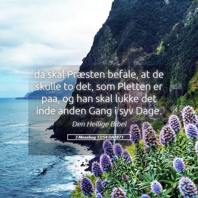 Picture 05 - 3 Mosebog 13:54 DA1871 - da skal Præsten befale, at de skulle to det, som - Bible Verse Picture