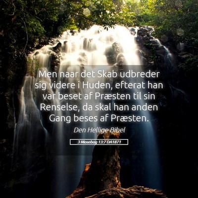 Picture 05 - 3 Mosebog 13:7 DA1871 - Men naar det Skab udbreder sig videre i Huden, - Bible Verse Picture