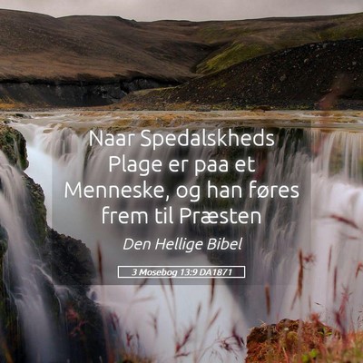 Picture 05 - 3 Mosebog 13:9 DA1871 - Naar Spedalskheds Plage er paa et Menneske, og - Bible Verse Picture