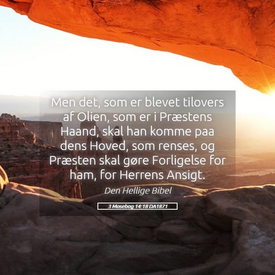 Picture 05 - 3 Mosebog 14:18 DA1871 - Men det, som er blevet tilovers af Olien, som er - Bible Verse Picture