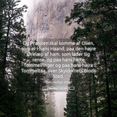 Picture 05 - 3 Mosebog 14:28 DA1871 - Og Præsten skal komme af Olien, som er i hans - Bible Verse Picture